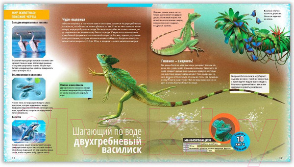 Изображение товара Энциклопедия ND Play Необычные таланты / 286456