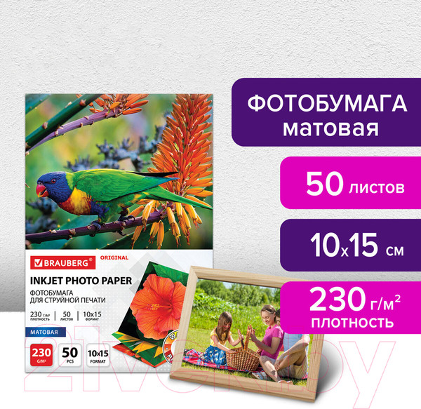 Изображение товара Фотобумага Brauberg Original 230 г/м2 / 363974 (50л, матовый)