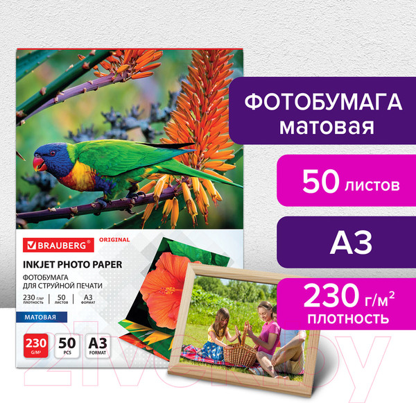 Изображение товара Фотобумага Brauberg Original А3 230 г/м2 / 363997 (50л, матовый)