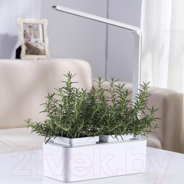 Изображение товара Проращиватель семян Назад к истокам iGarden Led / IGL2021