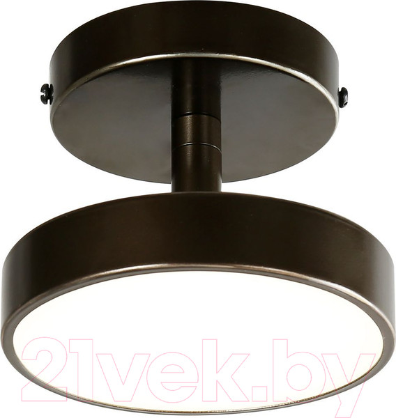 Изображение товара Потолочный светильник FAVOURITE 3060-1P