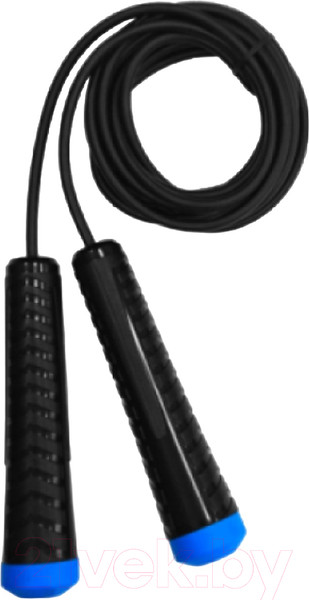 Изображение товара Скакалка No Brand Fortius (3м, черный/синий)