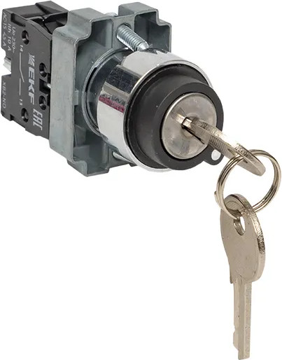 Изображение товара Кнопка для пульта EKF PROxima BG21 2P / xb2-bg21