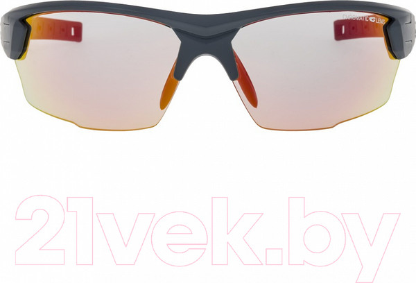 Изображение товара Очки солнцезащитные GOG E544-3 (серый матовый/черный)