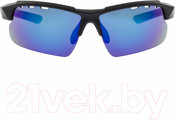 Изображение товара Очки солнцезащитные GOG E579-1 (черный)