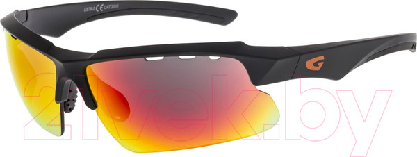Изображение товара Очки солнцезащитные GOG E579-2 (черный матовый)