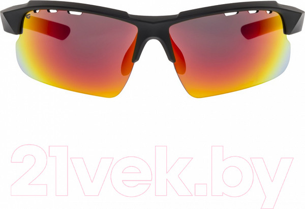 Изображение товара Очки солнцезащитные GOG E579-2 (черный матовый)