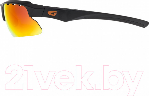 Изображение товара Очки солнцезащитные GOG E579-2 (черный матовый)