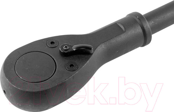 Изображение товара Трещотка Forsage F-8026500MPB (51735)