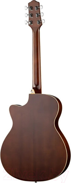 Изображение товара Акустическая гитара Naranda TG120CTS