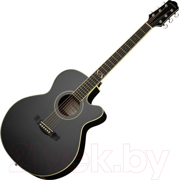 Изображение товара Акустическая гитара Naranda F303CBK