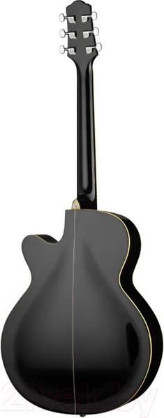 Изображение товара Акустическая гитара Naranda F303CBK