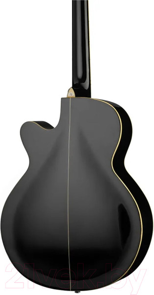 Изображение товара Акустическая гитара Naranda F303CBK