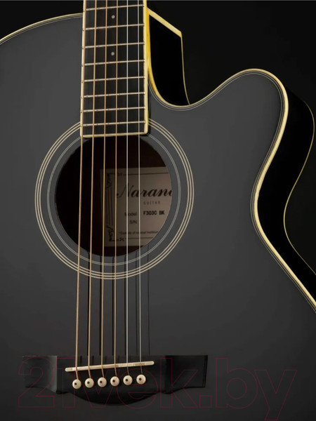 Изображение товара Акустическая гитара Naranda F303CBK