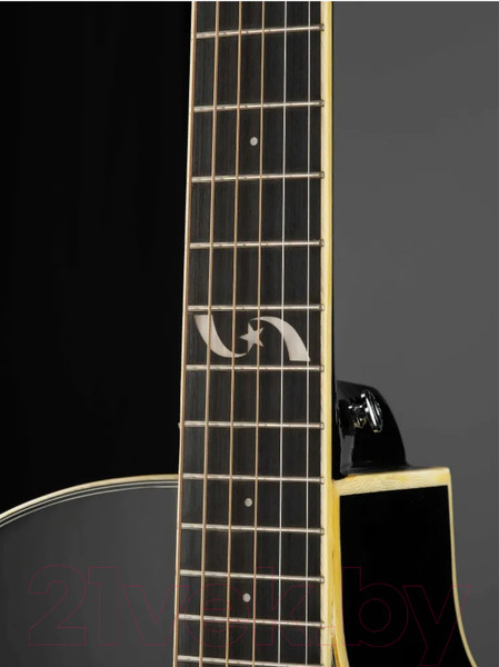 Изображение товара Акустическая гитара Naranda F303CBK