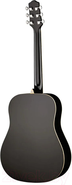 Изображение товара Акустическая гитара Naranda DG220BK