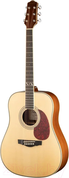 Изображение товара Акустическая гитара Naranda DG303NA