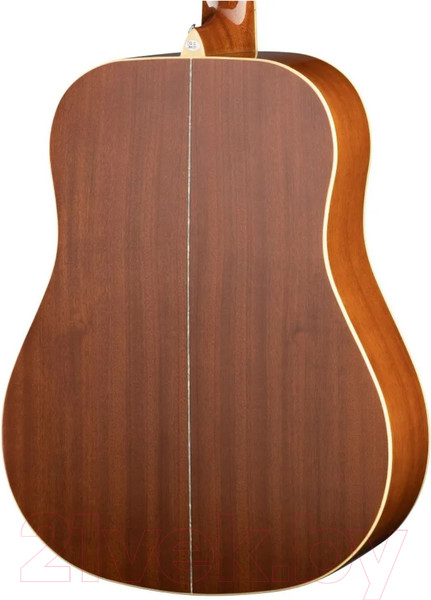 Изображение товара Акустическая гитара Naranda DG303NA