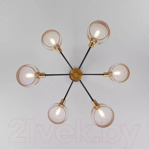 Изображение товара Люстра Евросвет 70127/6 (черный/дымчатый)