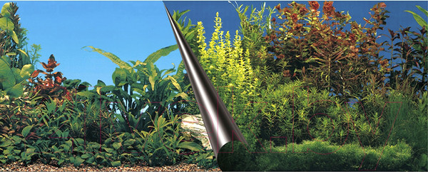 Изображение товара Декорация для аквариума EBI Beauty & Sea / 241/108956