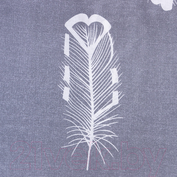 Изображение товара Комплект постельного белья Этель Перья / 9226765