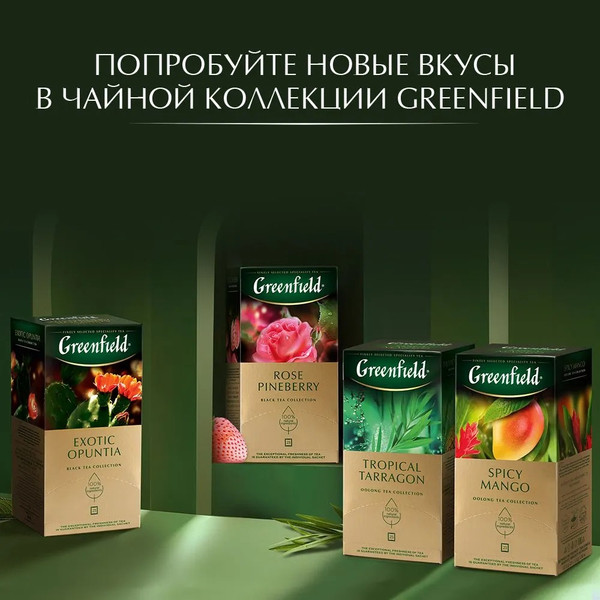 Изображение товара Чайный напиток GREENFIELD Spirit Mate (25пак)