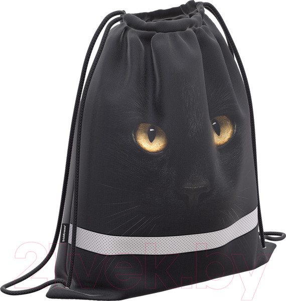 Изображение товара Мешок для обуви Erich Krause Black Cat / 57047