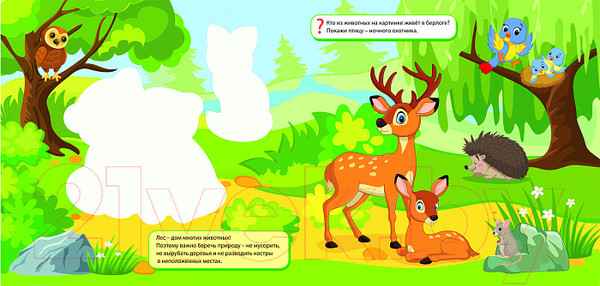 Изображение товара Раскраска Росмэн Многоразовые водные раскраски. Дикие животные