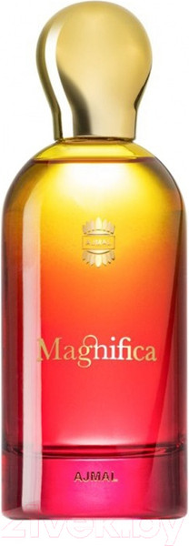 Изображение товара Парфюмерная вода Ajmal Magnifica (100мл)