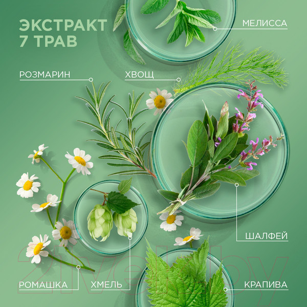 Изображение товара Шампунь для волос Шаума 7 трав Для нормальных и жирных волос (360мл)