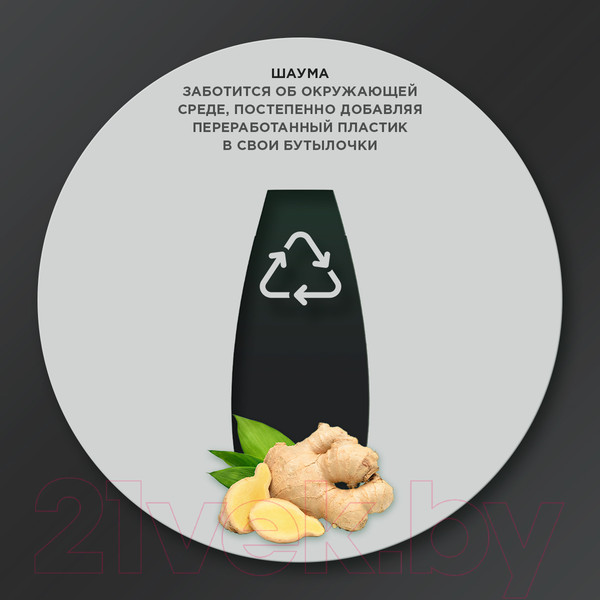 Изображение товара Шампунь для волос Шаума Men Intensive Против перхоти с экстрактом имбиря  (360мл)