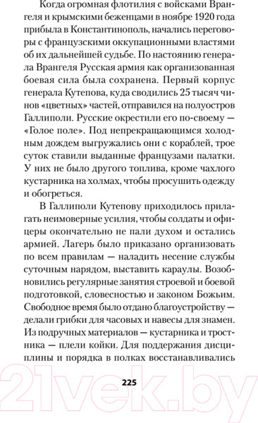 Изображение товара Книга Питер Россия в огне Гражданской войны (Гаспарян А.)
