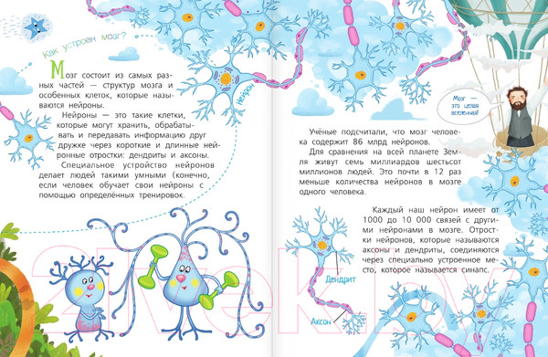 Изображение товара Энциклопедия АСТ Мозг (Саксон М.)