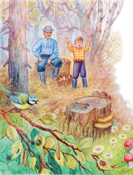 Изображение товара Книга АСТ Лесные домишки. Сказки (Бианки В.)