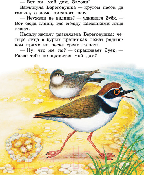 Изображение товара Книга АСТ Лесные домишки. Сказки (Бианки В.)