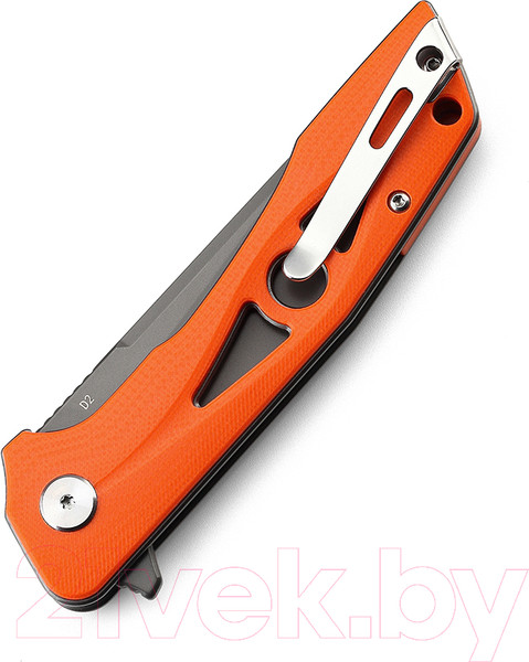 Изображение товара Нож складной Bestech Knives Eye of Ra BG23D