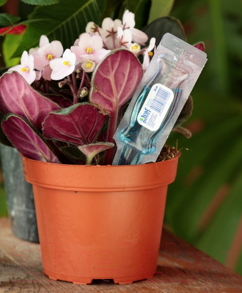 Изображение товара Удобрение Fertika Leaf Power для Цветов (30мл)