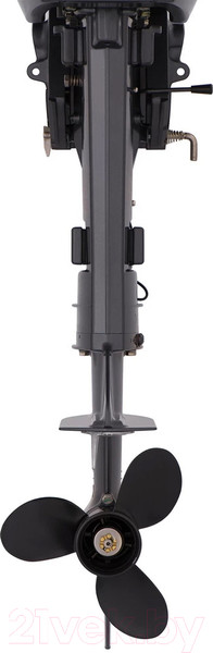 Изображение товара Мотор лодочный Seanovo SN9.8FHS