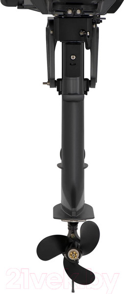 Изображение товара Мотор лодочный Seanovo SNF2.5HS