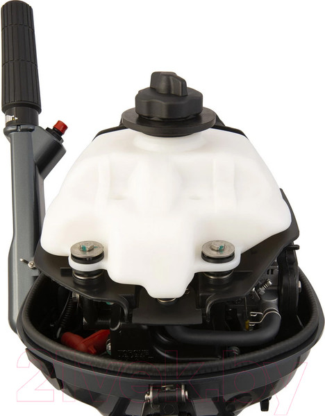 Изображение товара Мотор лодочный Seanovo SNF2.5HS