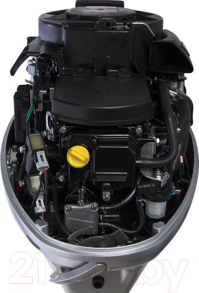 Изображение товара Мотор лодочный Seanovo SNEF30FEL-TEFI