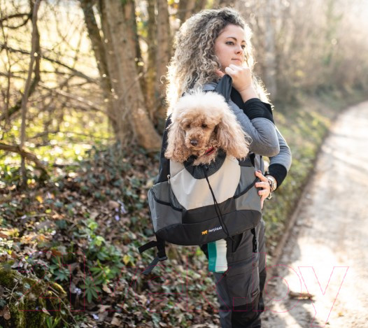 Изображение товара Рюкзак-переноска Ferplast Kangoo S / 85748121 (серый)