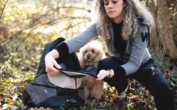 Изображение товара Рюкзак-переноска Ferplast Kangoo S / 85748121 (серый)