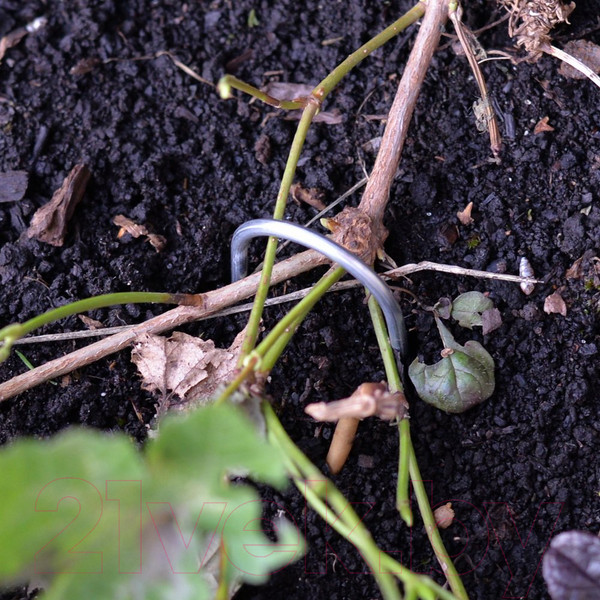 Изображение товара Скобы садовые Мультидом VL83-245 (2шт)