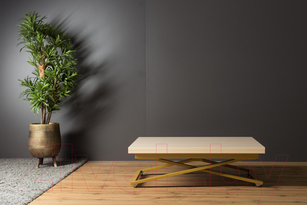 Изображение товара Стол-трансформер Levmar Compact D31/S90 (выбеленный дуб/золото)