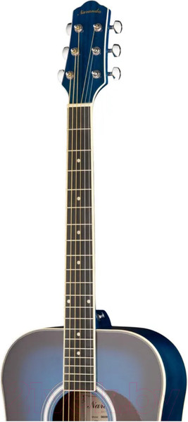 Изображение товара Акустическая гитара Naranda DG220BLS