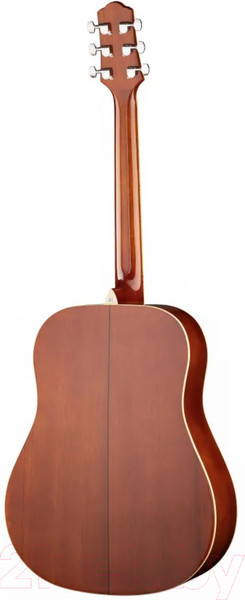 Изображение товара Акустическая гитара Naranda DG220VS