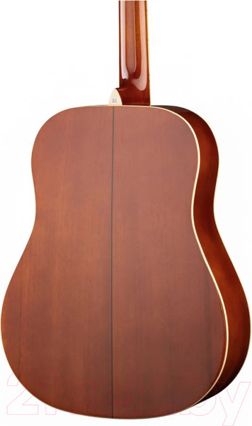 Изображение товара Акустическая гитара Naranda DG220VS