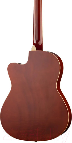 Изображение товара Акустическая гитара Naranda CAG280CNA