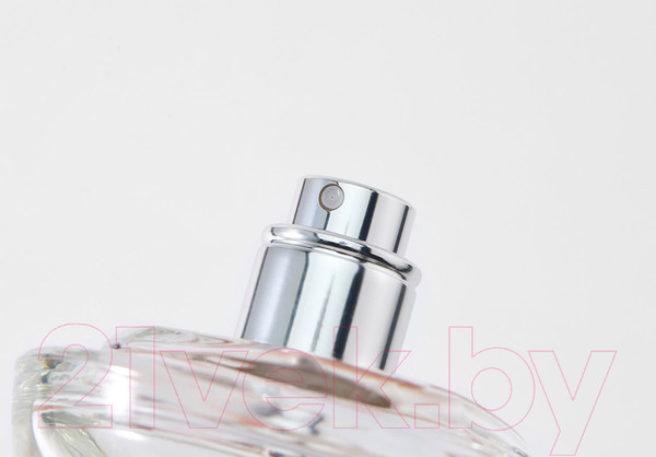 Изображение товара Парфюмерная вода DKNY Be Extra Delicious (30мл)